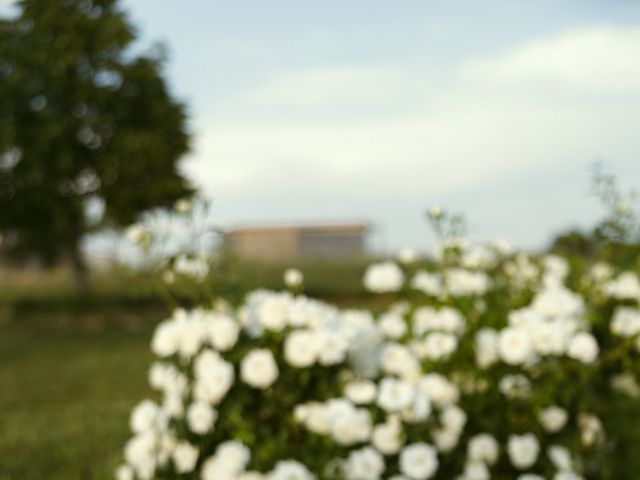 Le mariage de Guillaume et Ludivine à Sault, Vaucluse 70