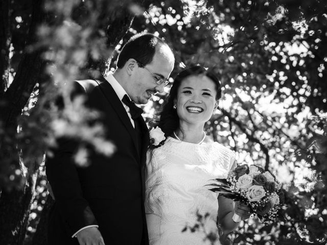 Le mariage de Romain et Tzu-Hsuan à Villeurbanne, Rhône 19