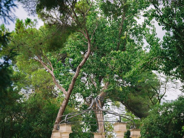 Le mariage de Alex et Pauline à Nîmes, Gard 14