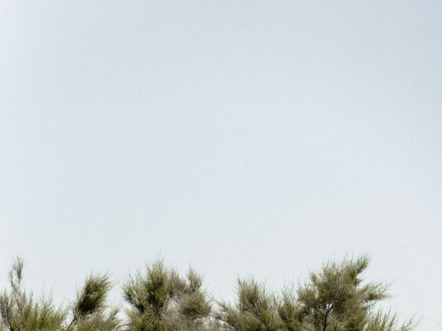 Le mariage de Sébastien et Julie à Furiani, Corse 10