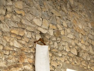 Le mariage de Coline et Thomas 1