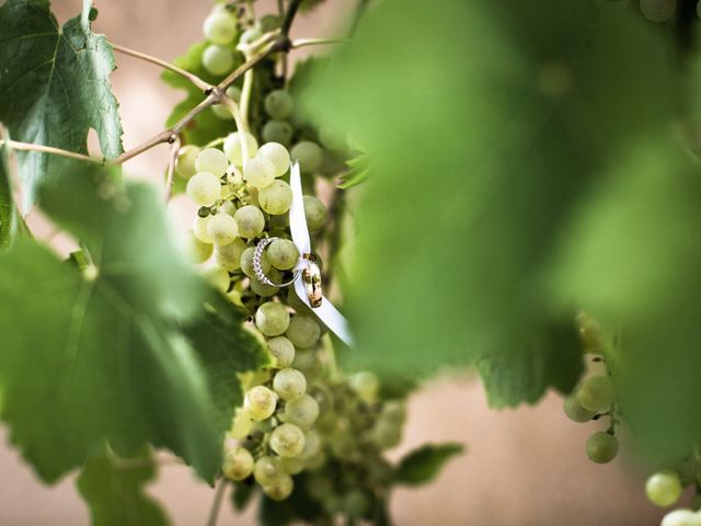 Le mariage de Yoann et Emilie à Maillane, Bouches-du-Rhône 5