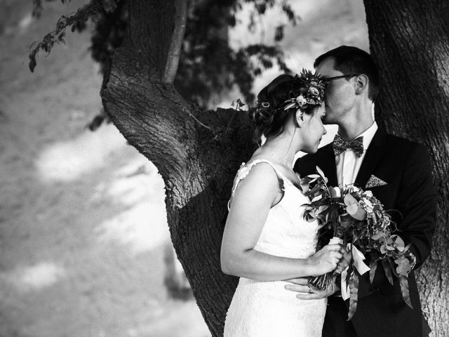 Le mariage de Yoann et Emilie à Maillane, Bouches-du-Rhône 20