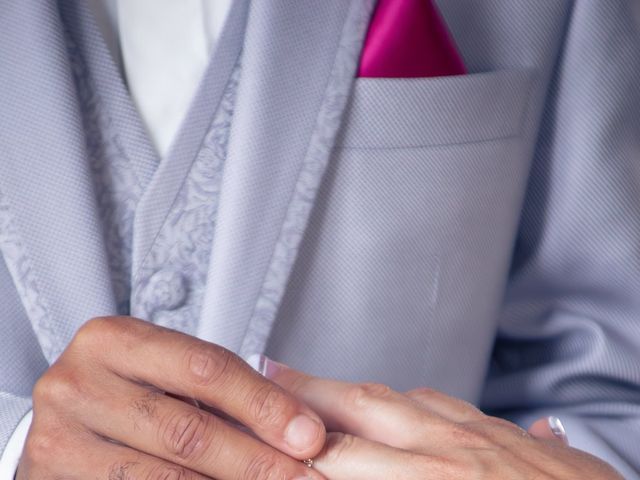 Le mariage de Mathieu et Laetitia à Bracieux, Loir-et-Cher 20