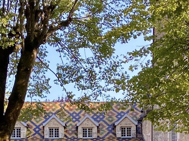 Le mariage de Jean-Marie et Séverine à Santenay, Côte d'Or 14