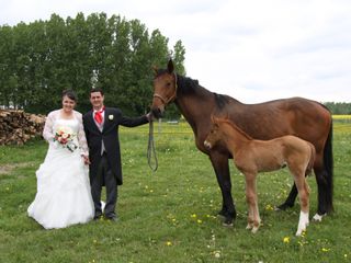 Le mariage de Lison et Damien