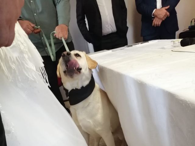 Le mariage de Gaëtan et Laura  à Gap, Hautes-Alpes 6