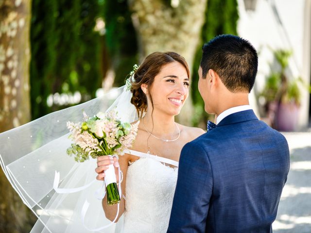 Le mariage de Yoann et Laure à Viviers, Ardèche 13