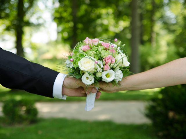 Le mariage de Cédric et Aurore à Gergy, Saône et Loire 10