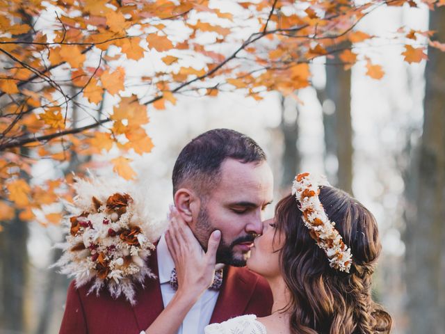 Le mariage de Ludovic et Stéphanie à Chevreuse, Yvelines 6