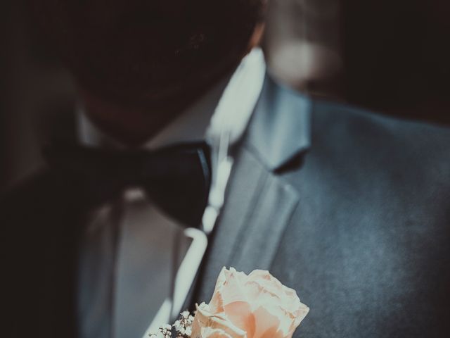 Le mariage de Cedric et Delphine à Royat, Puy-de-Dôme 17