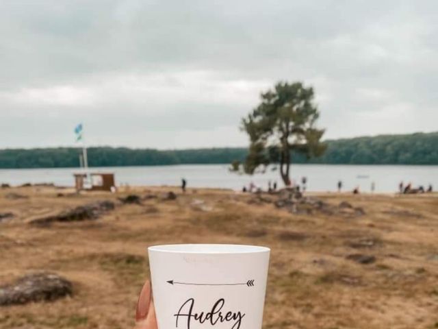 Le mariage de Audrey  et Pierre à Saint-Jacques-de-la-Lande, Ille et Vilaine 7