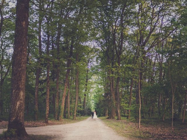 Le mariage de David et Typhanie à Alix, Rhône 44