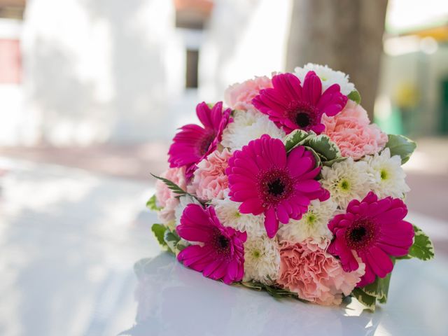 Le mariage de Mike et Camille à Salon-de-Provence, Bouches-du-Rhône 6