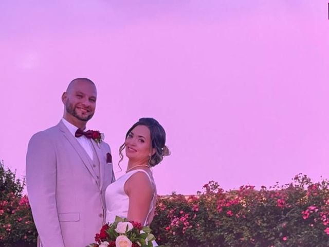 Le mariage de Carl et Alexya à Giremoutiers, Seine-et-Marne 9