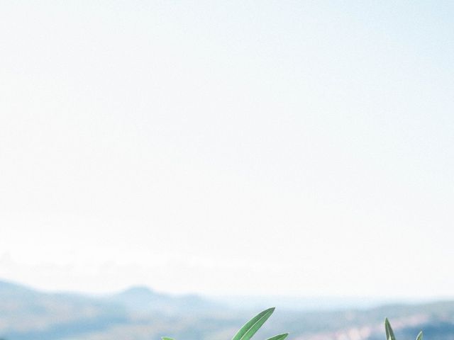 Le mariage de Alex et Laura à Le Castellet, Alpes-de-Haute-Provence 20