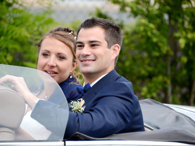 Le mariage de François et Alexandra à Amareins Francheleins Ces, Ain 16