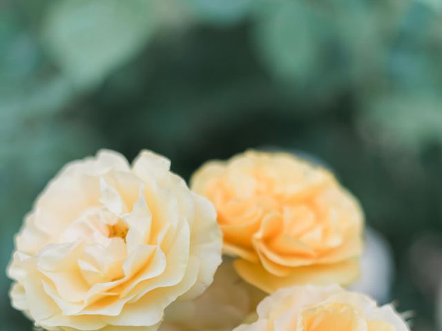 Le mariage de Stéphane et Mojca à Lacenas, Rhône 5