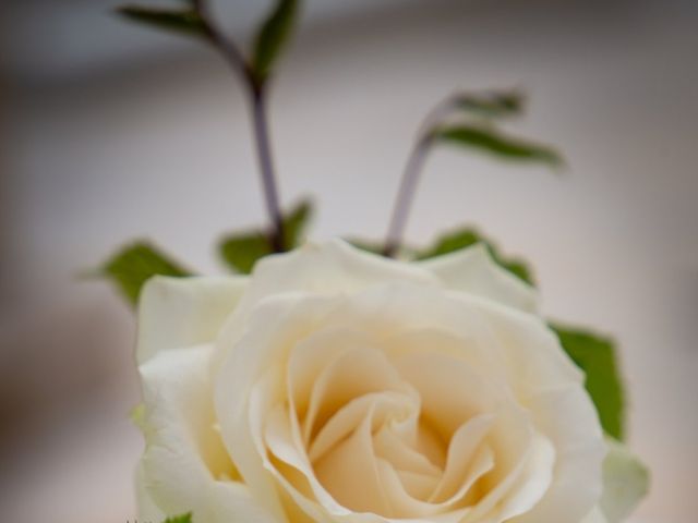 Le mariage de Bruno et Marie Pierre à Rilly-la-Montagne, Marne 15