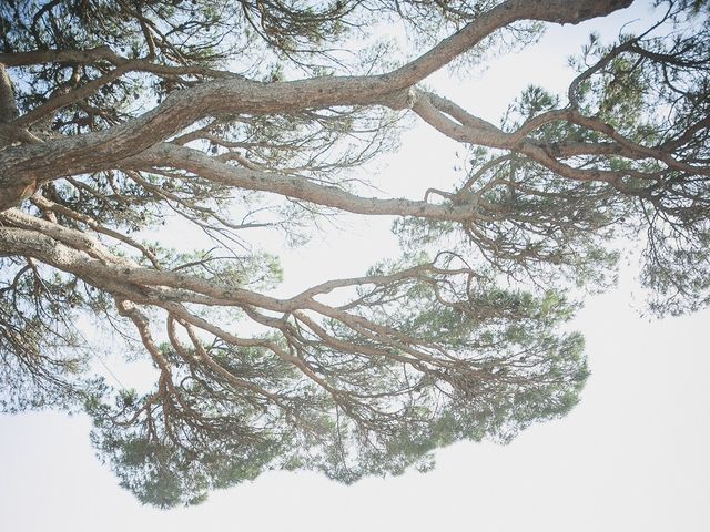 Le mariage de Loulou et Stéph à Mougins, Alpes-Maritimes 21