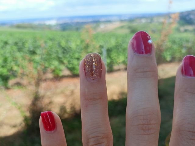 Le mariage de Lucie et Florian à Pommiers, Rhône 5
