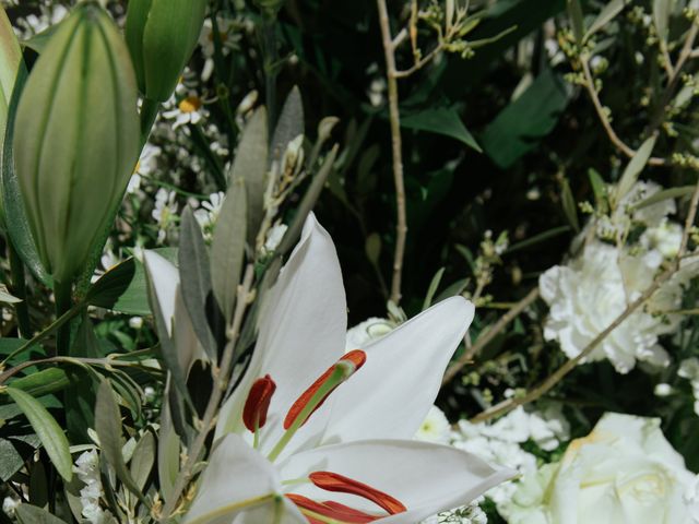 Le mariage de Vianney et Astrid à Lamotte-du-Rhône, Vaucluse 22