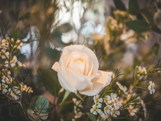 Le mariage de Ryan et Morgane à Saint-Palais-sur-Mer, Charente Maritime 18