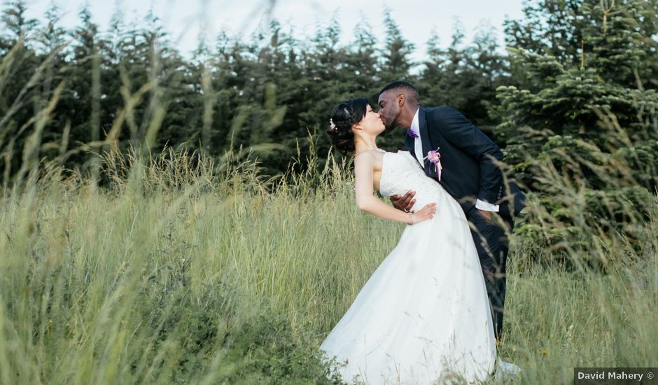 Le mariage de Ludovic et Caroline à Ozoir-la-Ferrière, Seine-et-Marne