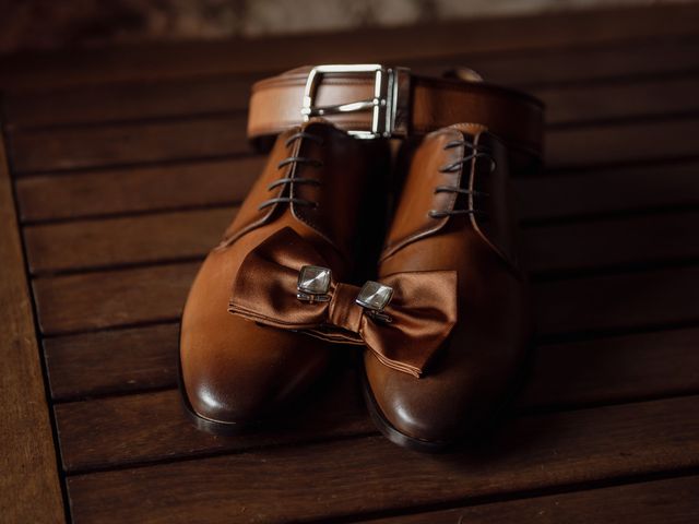 Le mariage de Paul et Bréna à Beaulieu-sur-Loire, Loiret 6