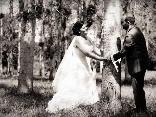 Le mariage de Bruno et May-Nsia à Marcilly-en-Villette, Loiret 5