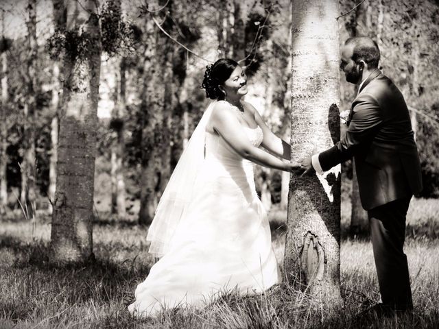 Le mariage de Bruno et May-Nsia à Marcilly-en-Villette, Loiret 23