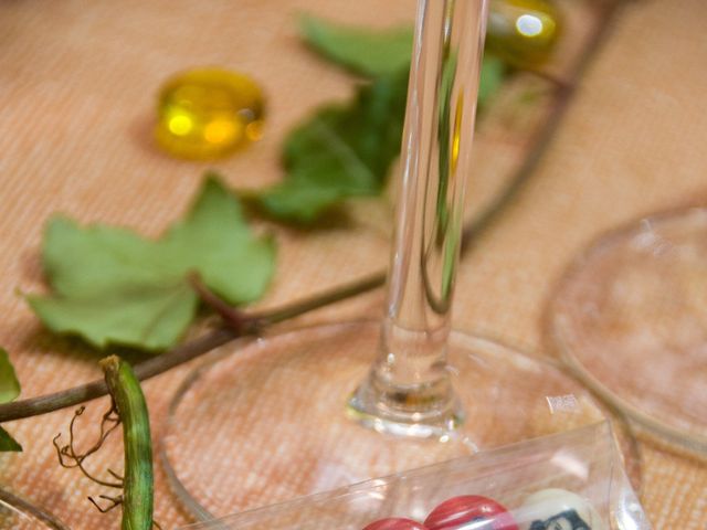 Le mariage de Daisy et Noémie à Verfeil, Haute-Garonne 29