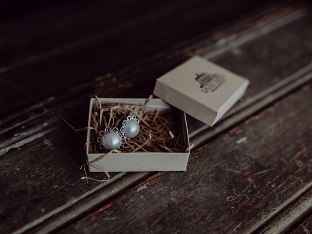 Le mariage de Christophe et Anthéa à Saint-Martin-la-Plaine, Loire 8