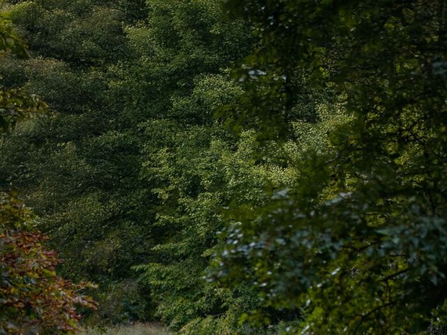 Le mariage de Christian et Audrey à Gesves, Namur 12