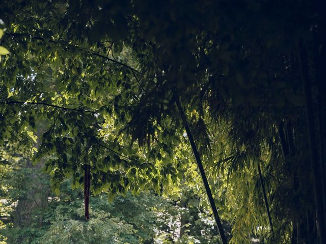 Le mariage de Mickaël et Laury  à Plaisance-du-Touch, Haute-Garonne 25