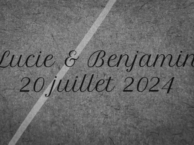 Le mariage de Benjamin et Lucie à Merey, Eure 268