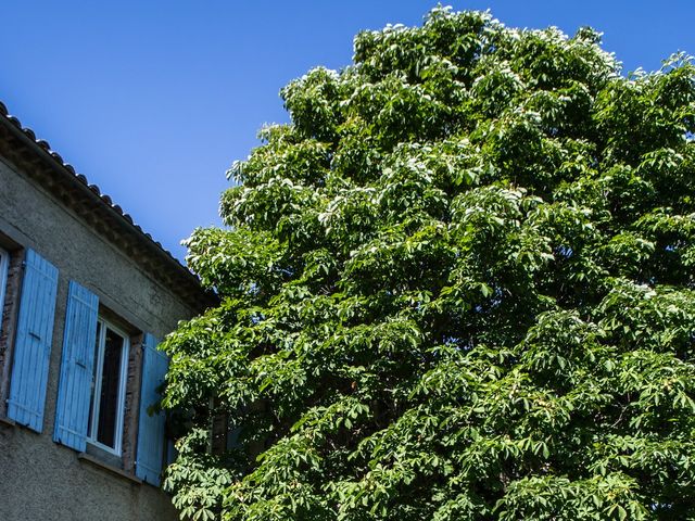 Le mariage de Hugo et Camille à Ventavon, Hautes-Alpes 61