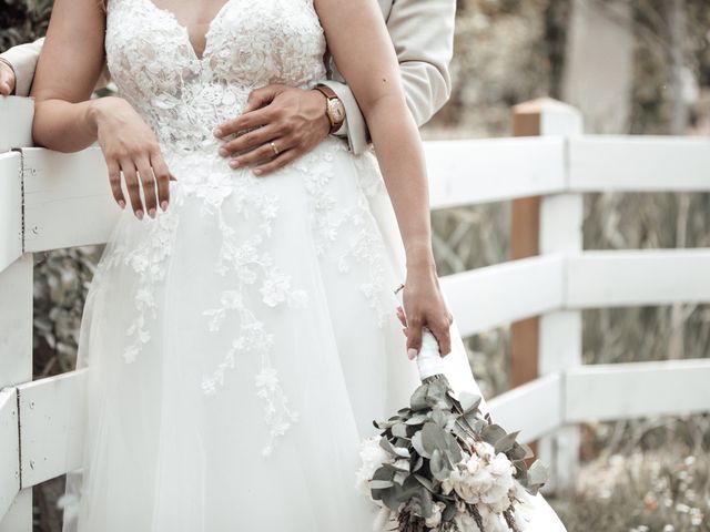 Le mariage de Tony et Alicia à Menucourt, Val-d&apos;Oise 21