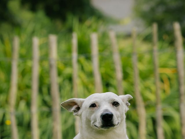 Le mariage de Michael et Molly à Brest, Finistère 24
