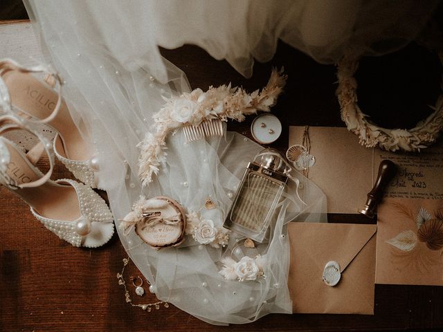 Le mariage de Michael et Elena à Lusignan, Vienne 2