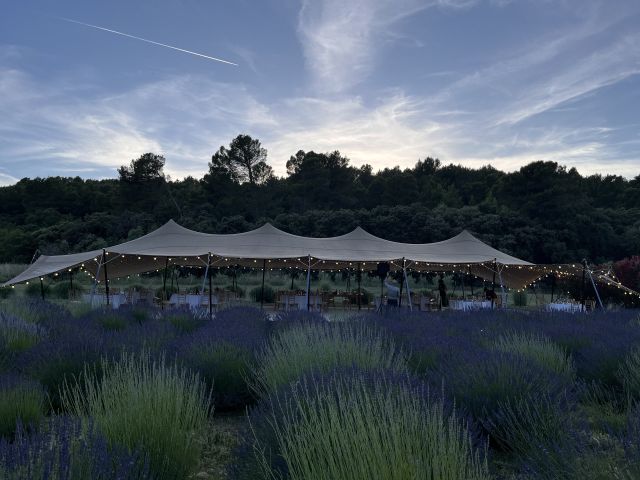 Le mariage de Hearvin et Dorine à Orgon, Bouches-du-Rhône 5