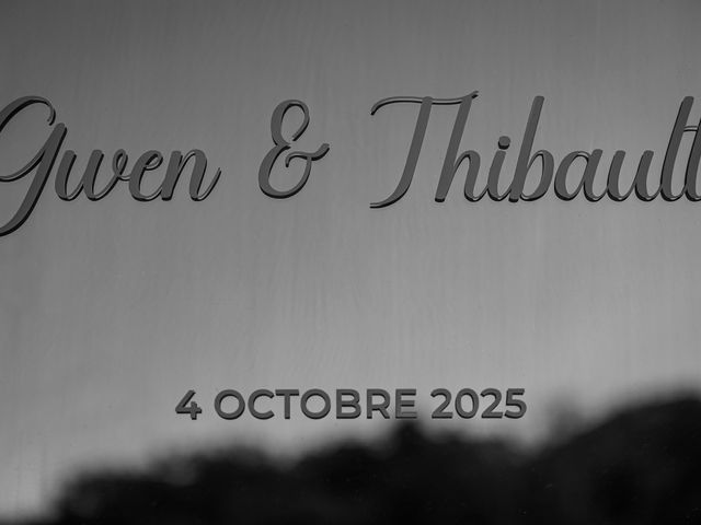 Le mariage de Thibault et Gwen à Merey, Eure 1