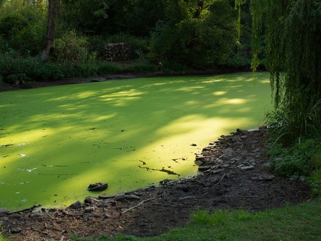 Le mariage de Paul et Mathilde à Amenucourt, Val-d'Oise 44