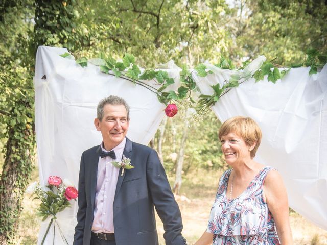 Le mariage de Cédric et Emilie à Saint-Cézaire-sur-Siagne, Alpes-Maritimes 52