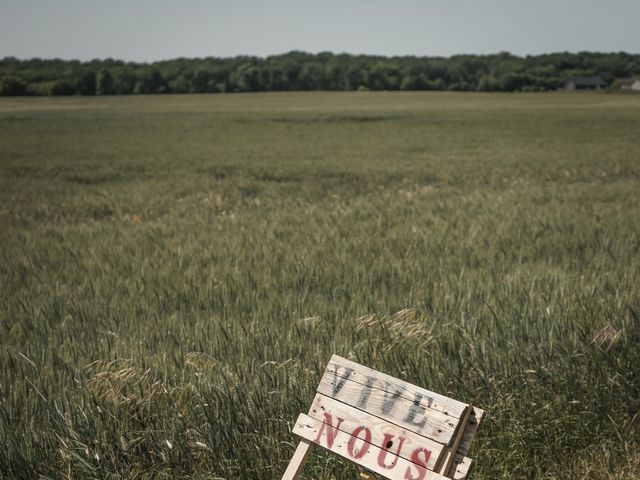 Le mariage de Toni et Emeline à Saran, Loiret 10