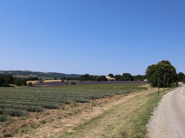 Le mariage de Vincent et Camille à Sault, Vaucluse 3