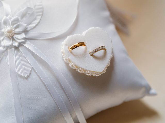 Le mariage de Pierre et Anaïs à Santeny, Val-de-Marne 8