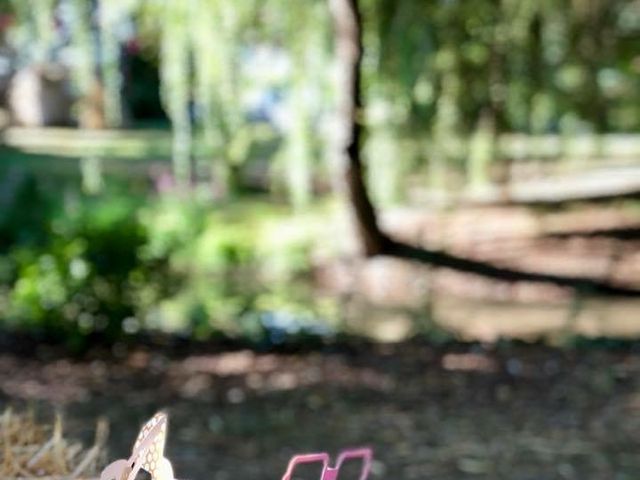 Le mariage de Agy et Vanessa  à Mosnac, Charente 17