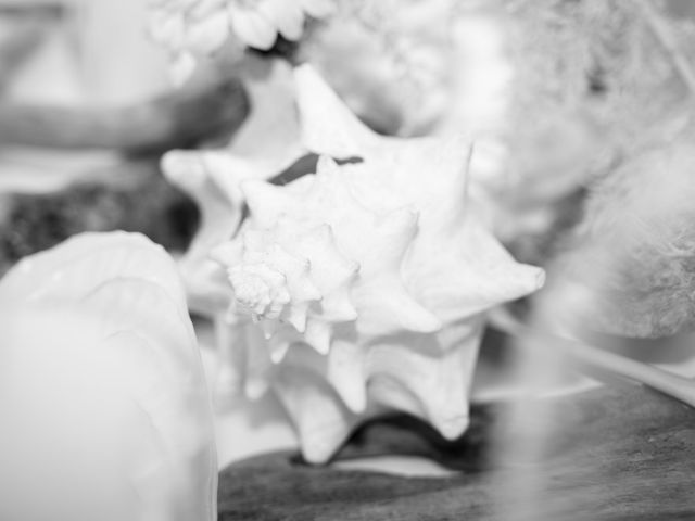 Le mariage de Julien et Elise à Grosseto-Prugna, Corse 66