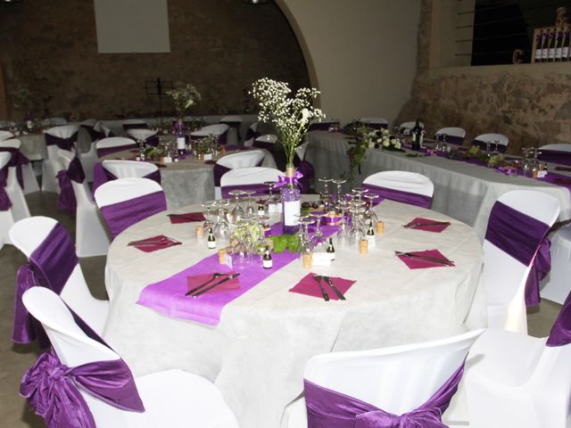 Le mariage de Anthony et Carla à Béziers, Hérault 14